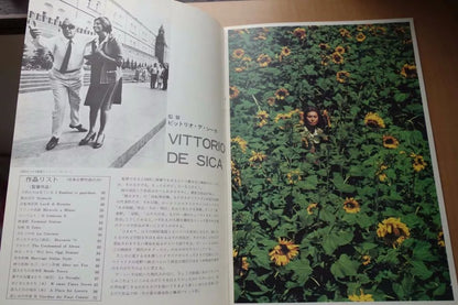 I Girasoli Sunflower Japanese Movie Program Pamphlet 1970