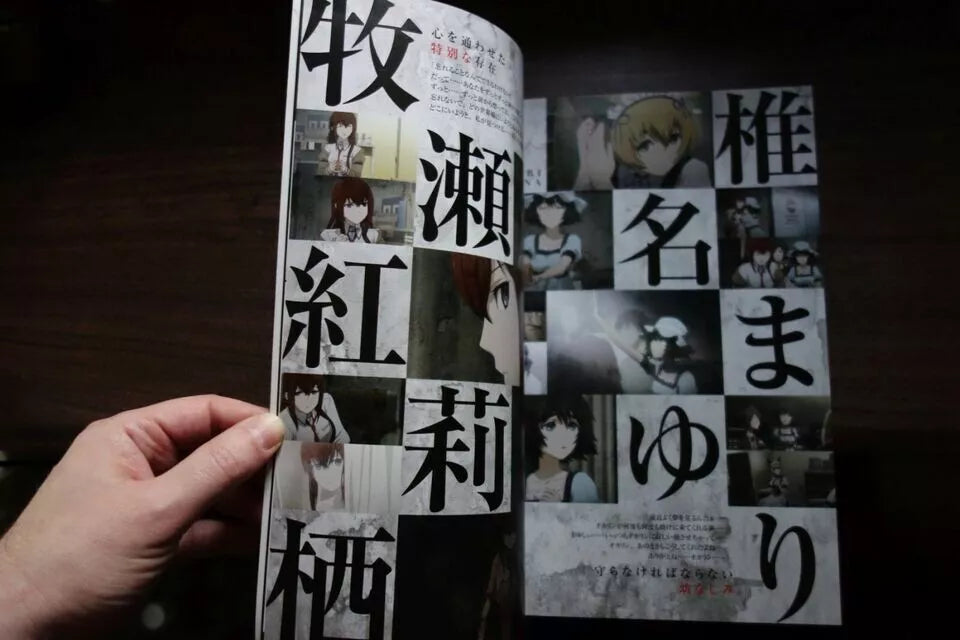 Steins Gate Japanese Anime Movie Program Pamphlet 2013