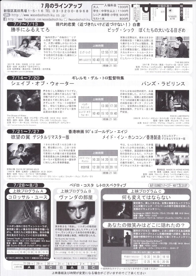 Pedro Costa Retrospective Waseda Japanese Chirashi Mini Ad-Flyer Poster 2018