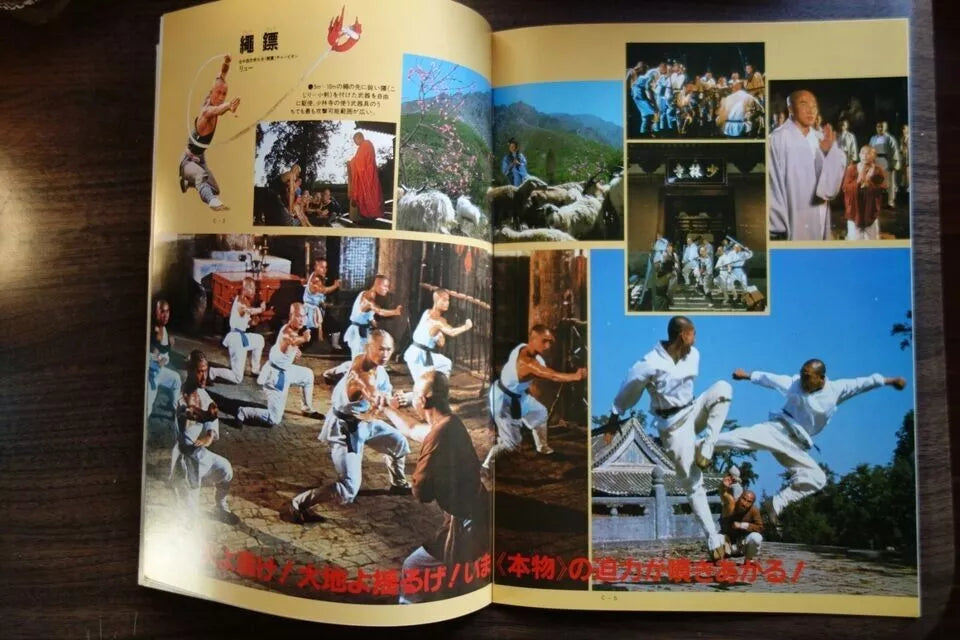 The Shaolin Temple Japanese Film Movie Program Pamphlet 1982