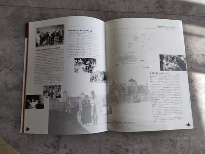 Carmen Japanese Movie Program Pamphlet 2003