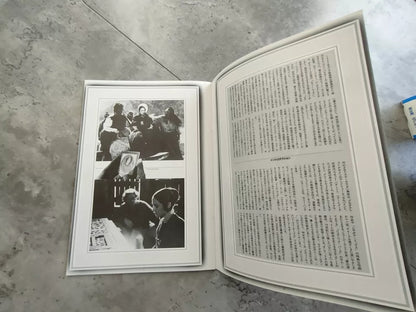The Piano Japanese Movie Program Pamphlet 1993