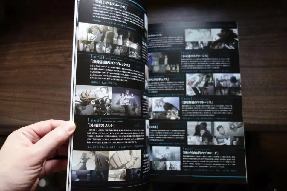 Steins Gate Japanese Anime Movie Program Pamphlet 2013
