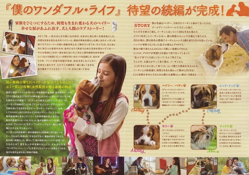 A Dog's Journey Japanese Chirashi Mini Ad-Flyer Poster 2019 4p