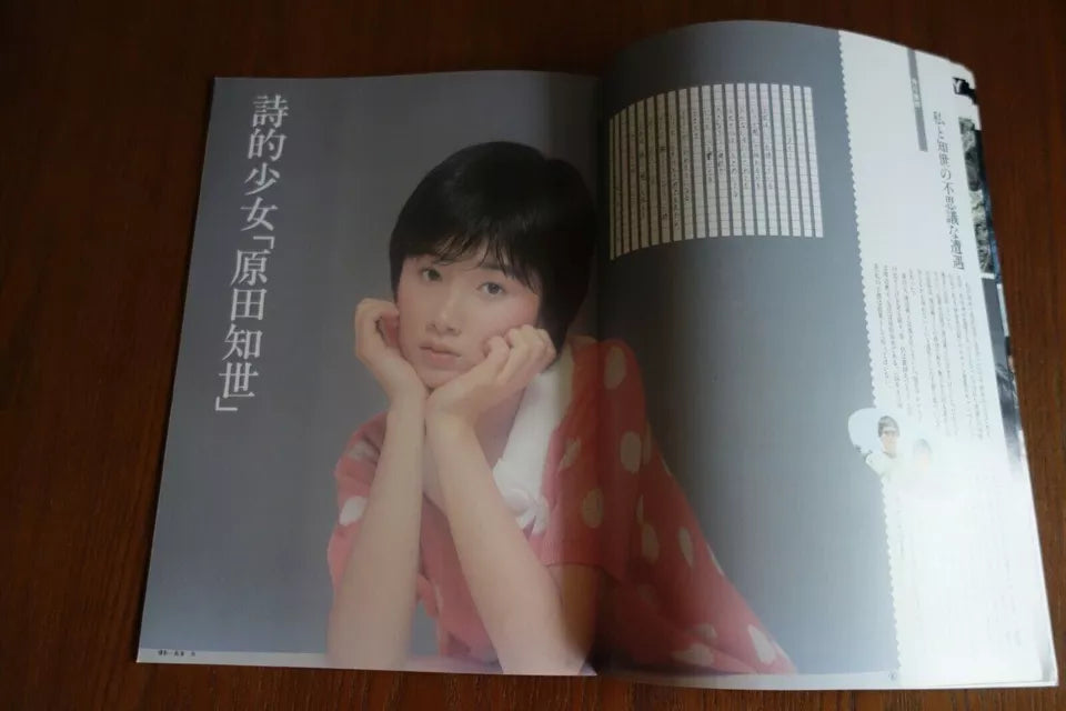 The Little Girl Who Conquered Time Japanese Movie Program Pamphlet 1983