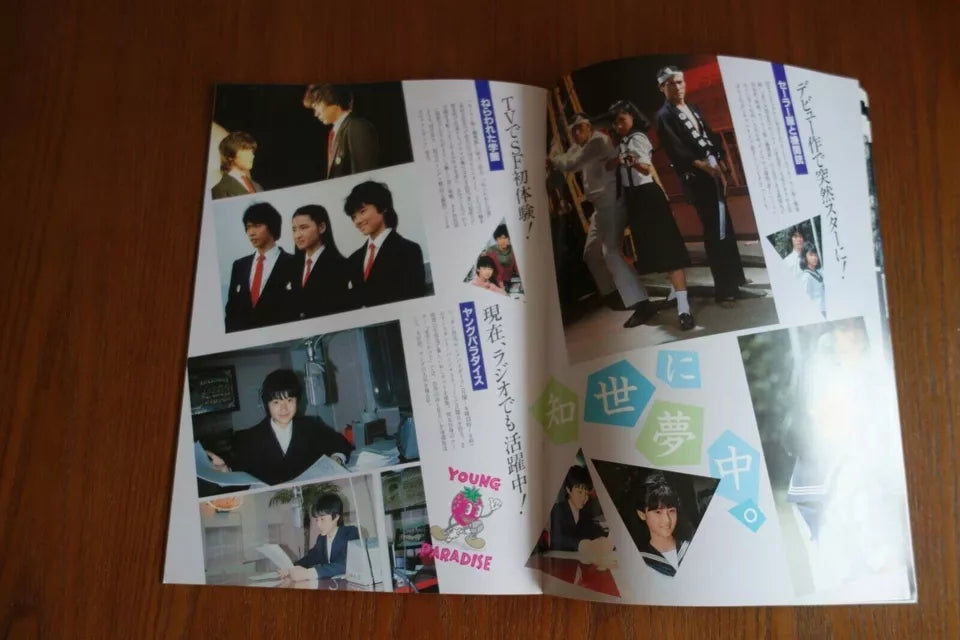 The Little Girl Who Conquered Time Japanese Movie Program Pamphlet 1983