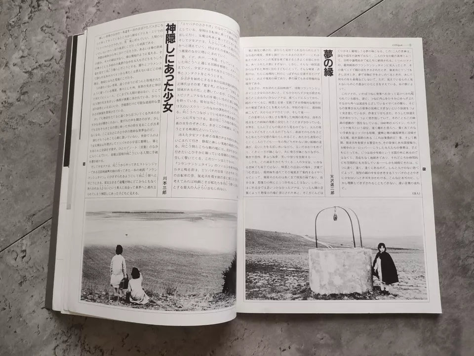 The Spirit of The Beehive Japanese Movie Program Pamphlet 1973