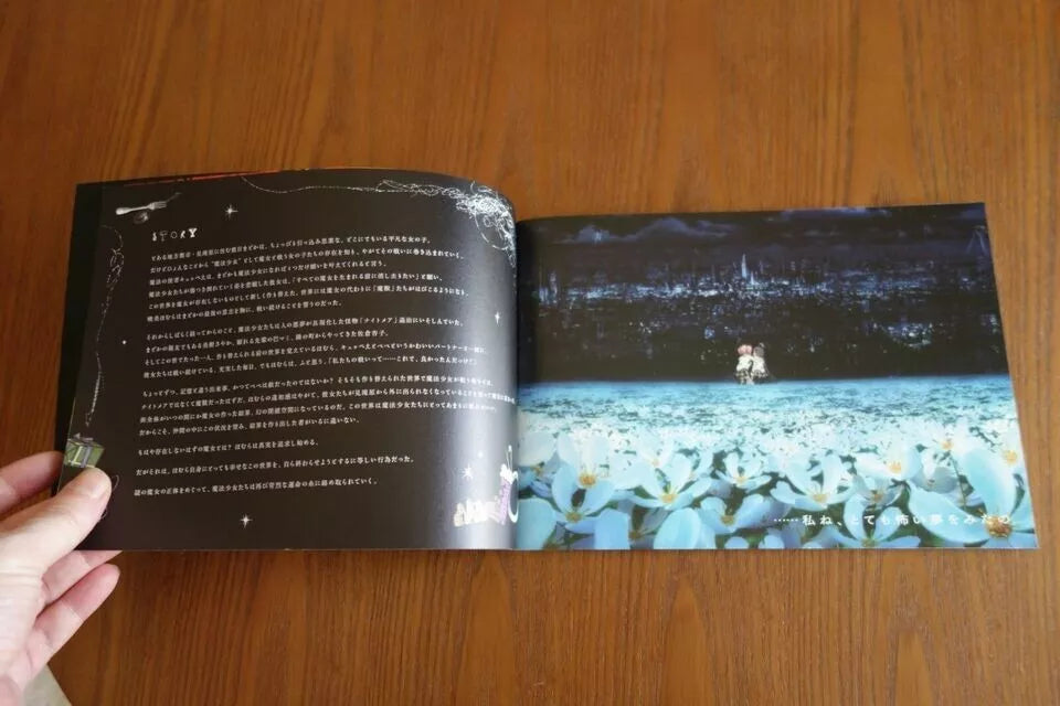 Puella Magi Madoka Magica Japanese Anime Movie Program Pamphlet 2013