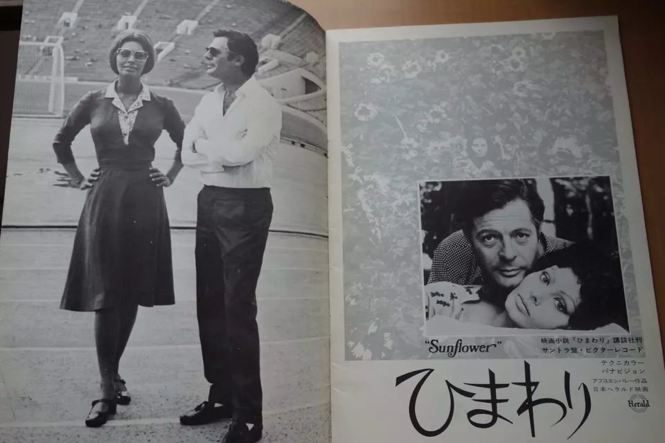 I Girasoli Sunflower Japanese Movie Program Pamphlet 1970