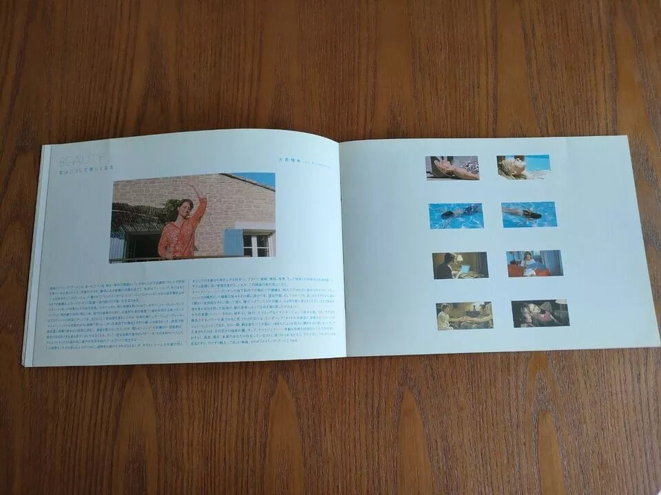 Swimming Pool Japanese Movie Program Pamphlet 2003