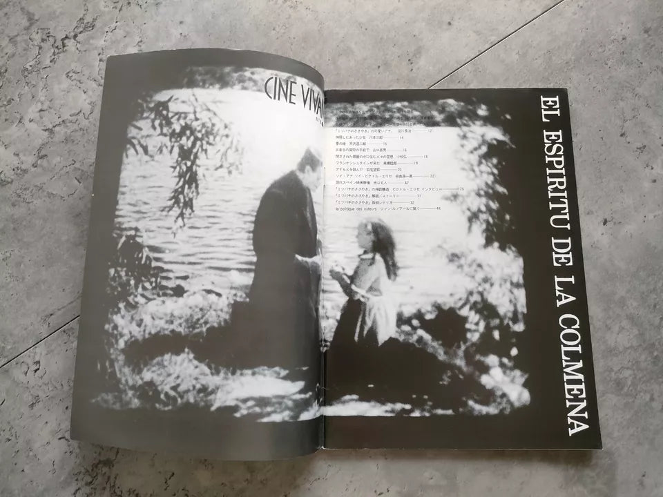 The Spirit of The Beehive Japanese Movie Program Pamphlet 1973