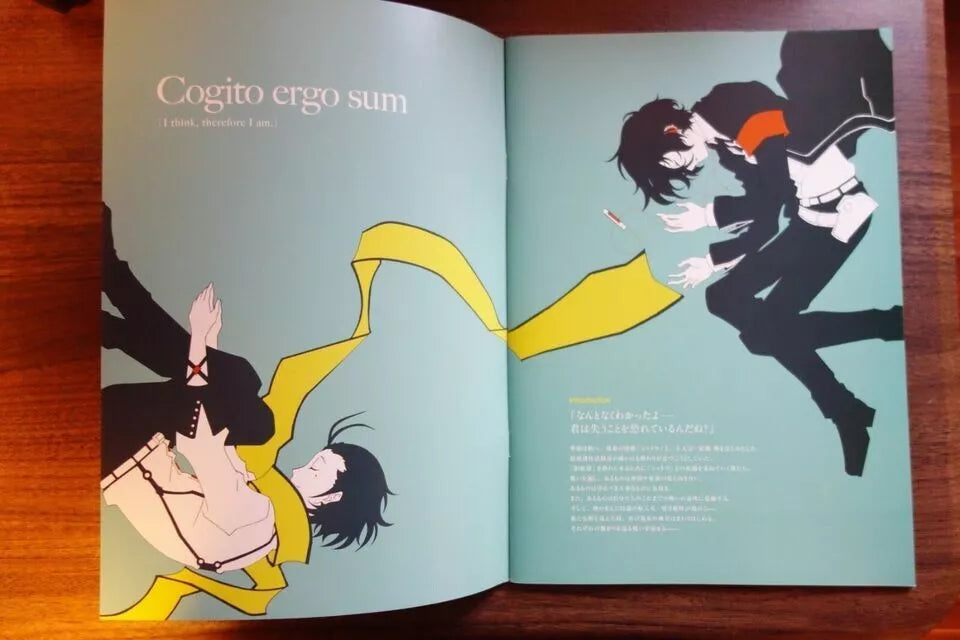 Persona 3 Falling Down Japanese Anime Movie Program Pamphlet 2015
