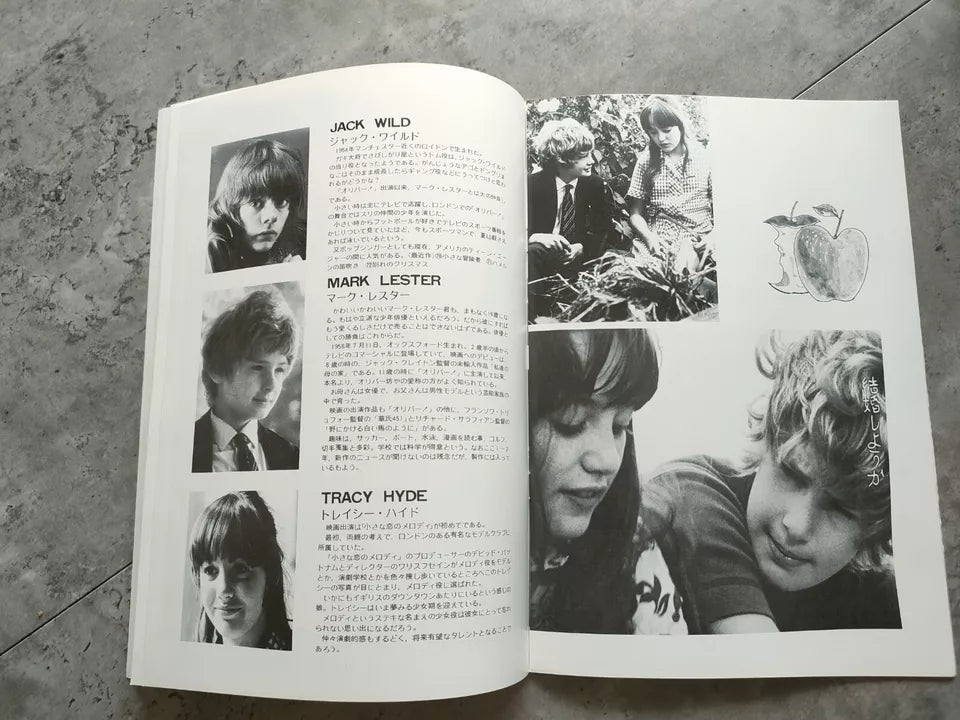 Melody Japanese Movie Program Pamphlet 1971