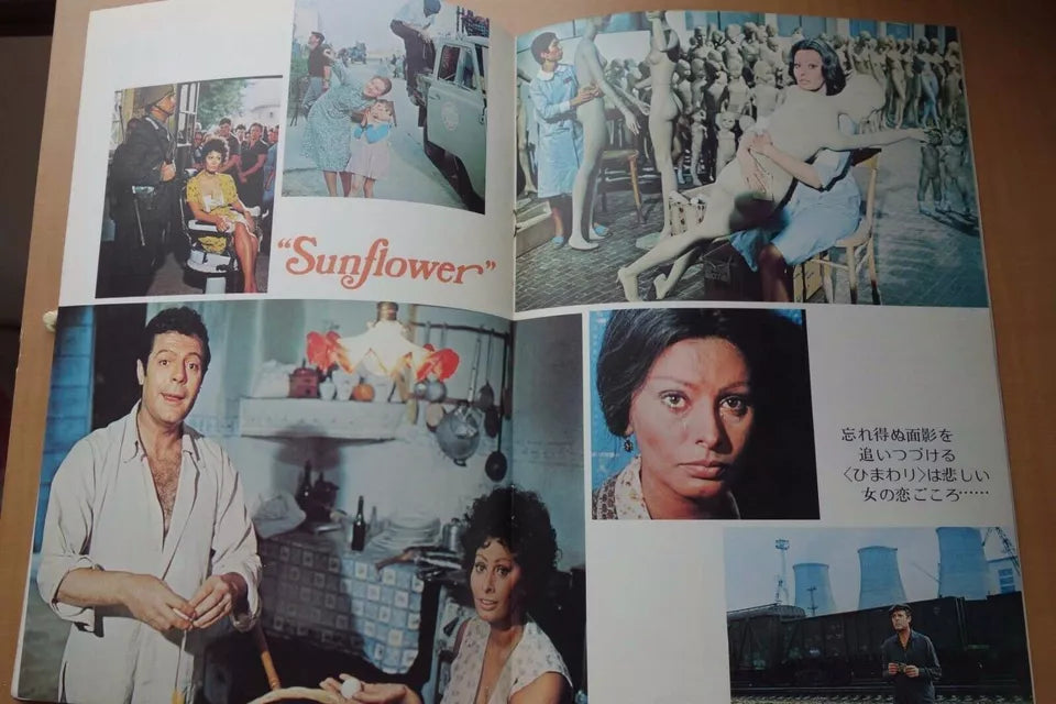 I Girasoli Sunflower Japanese Movie Program Pamphlet 1970