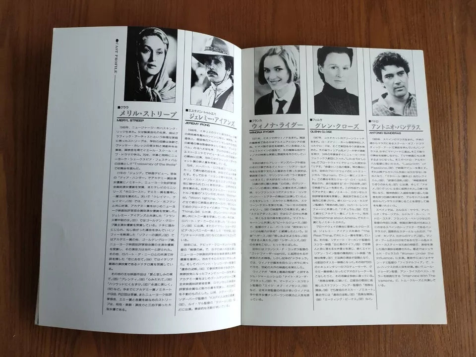 The House of The Spirits Japanese Movie Program Pamphlet 1993