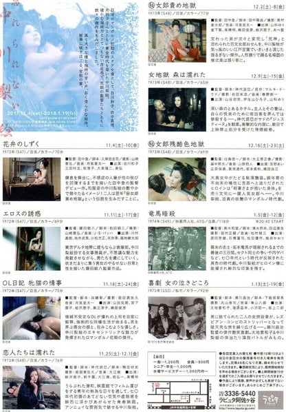 The Unforgettable Rie Nakagawa Retro Japanese Chirashi Mini Ad-Flyer Poster 2017