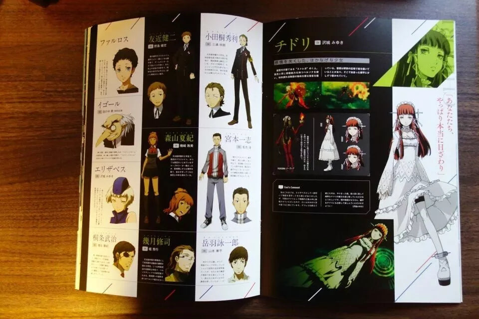 Persona 3 Falling Down Japanese Anime Movie Program Pamphlet 2015