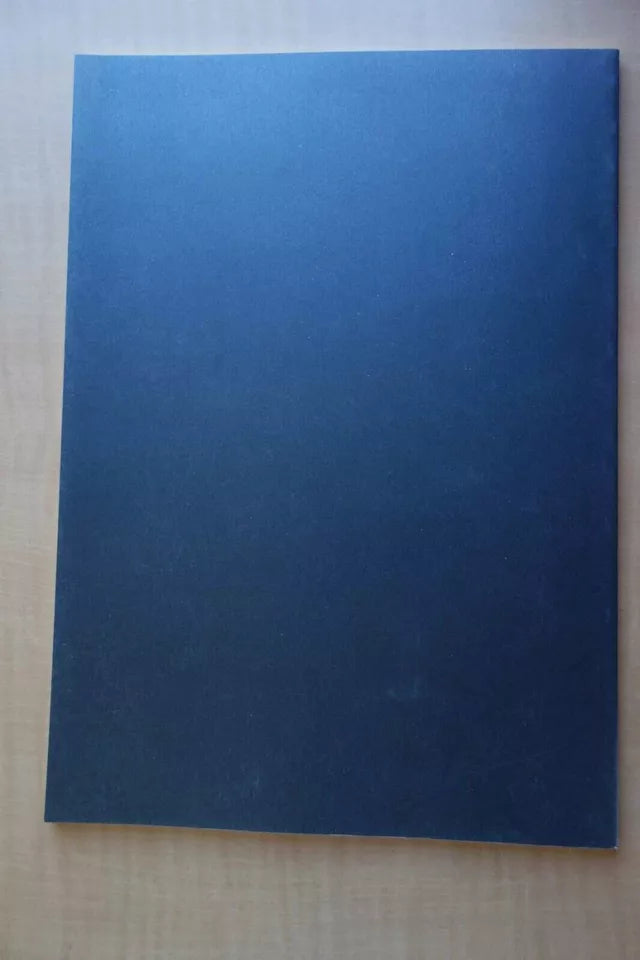 Dead Man Walking Japanese Movie Program Pamphlet 1995