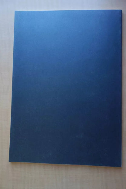 Dead Man Walking Japanese Movie Program Pamphlet 1995