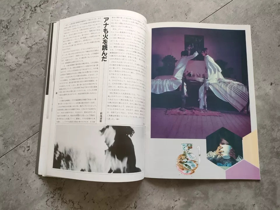 The Spirit of The Beehive Japanese Movie Program Pamphlet 1973