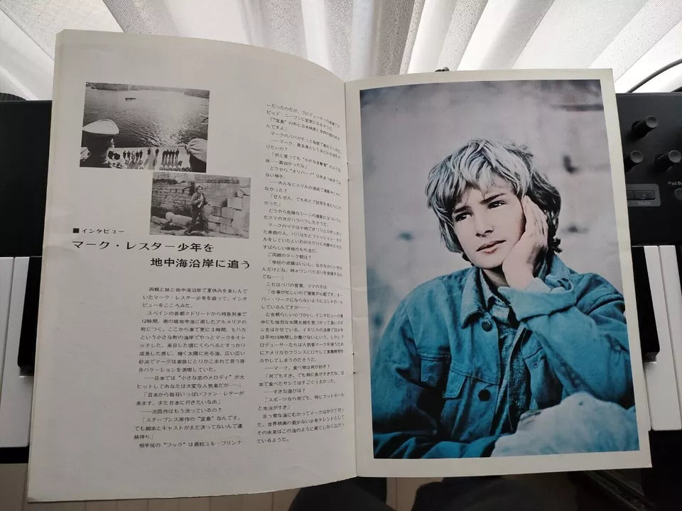 Eyewitness Japanese Movie Program Pamphlet 1970