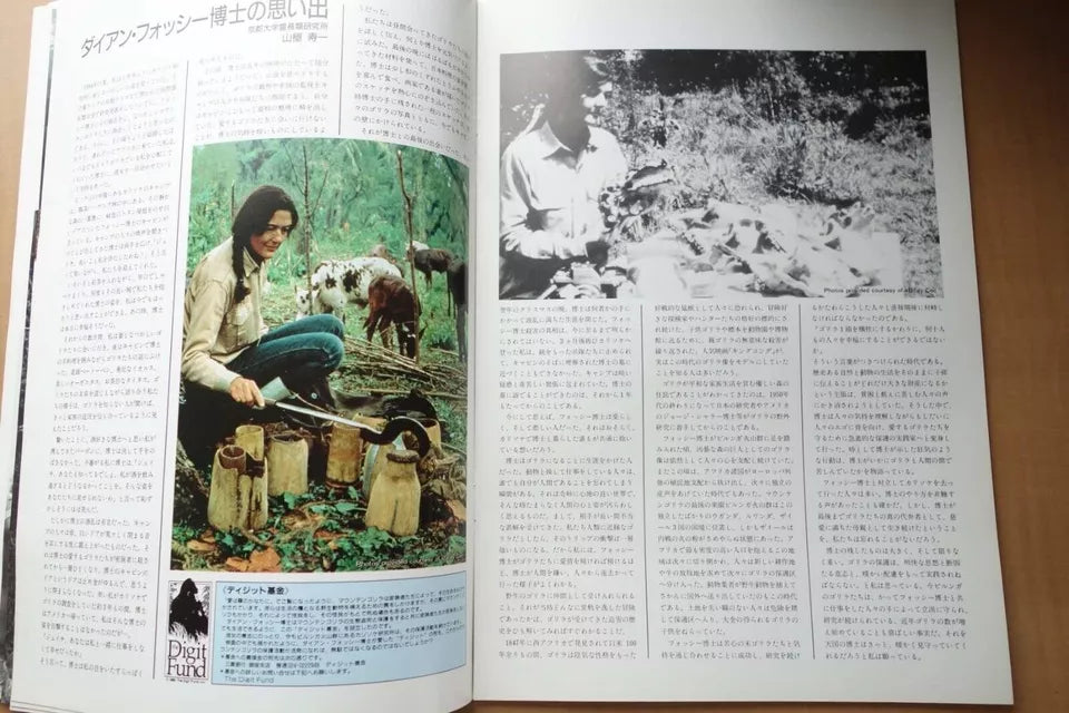 Gorillas In The Mist Japanese Movie Program Pamphlet 1988