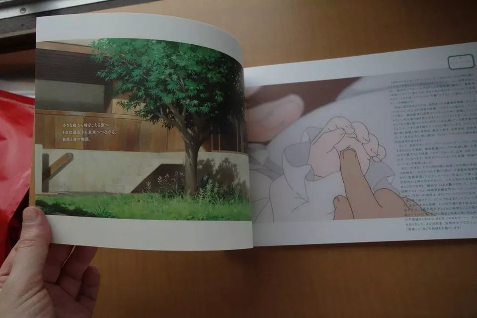 Mirai No Mirai Japanese Anime Movie Program Pamphlet 2018 Mamoru Hosoda