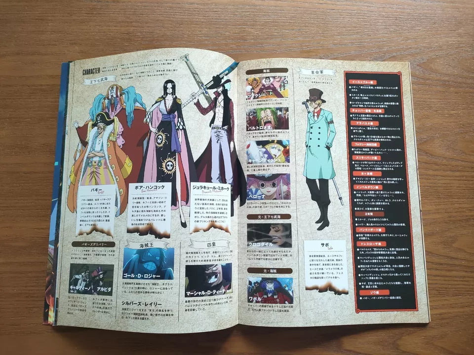 One Piece Stampede Japanese Anime Movie Program Pamphlet 2019
