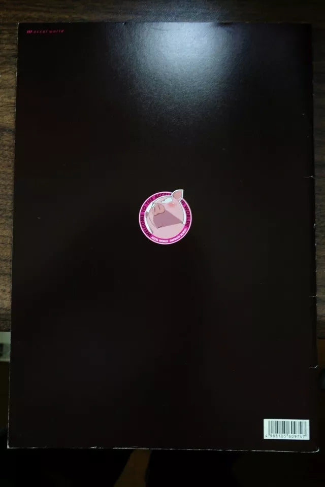 Accel World Infinite Burst Japanese Anime Movie Program Pamphlet 2016