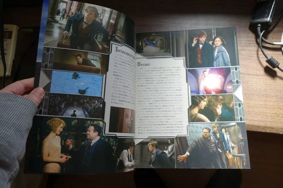 Fantastic Beasts And Where To Find Them Japanese Movie Program Pamphlet 2016