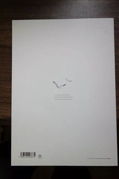 Fireworks Japanese Anime Movie Program Pamphlet 2017 Shunji Iwai
