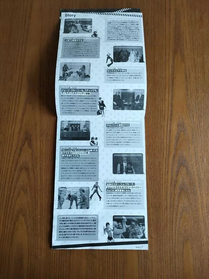 Bruno Japanese Movie Program Pamphlet 2009 Cohen