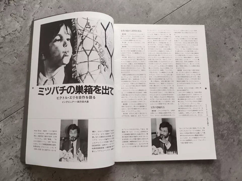 The Spirit of The Beehive Japanese Movie Program Pamphlet 1973