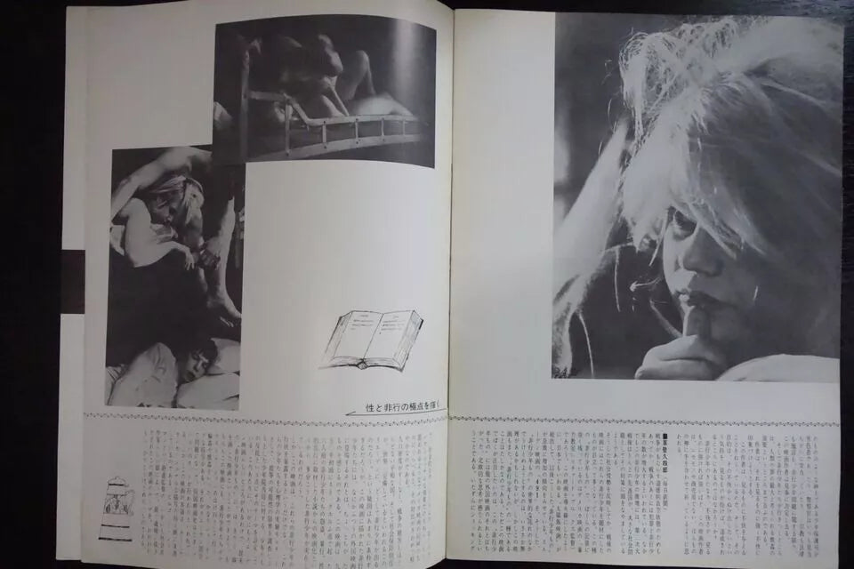 491 Japanese Movie Program Pamphlet 1964